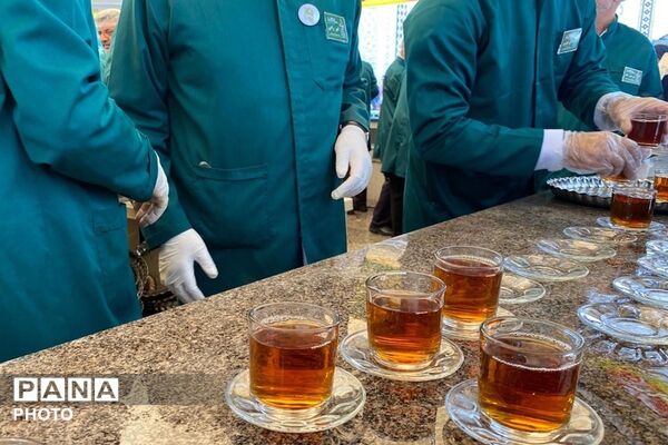 سفر به دیار مهربانی