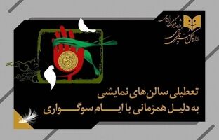 نمایش‌های کشور، یک شب به صحنه نمی‌روند