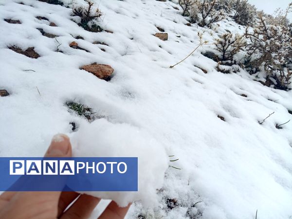 بارش برف بهاری در کوهسرخ