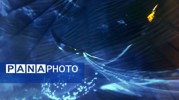 دومین جشنواره هنرهای نوری کشور در مشهد