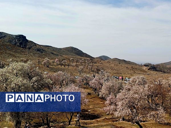 ۱۳ بدر :جشن طبیعت و نشاط در دل بهار