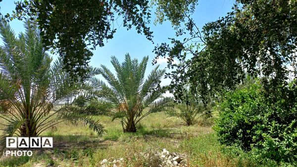 طبیعت هرگز تکراری و خسته‌کننده نمی‌شود