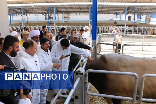 آیین افتتاح شرکت سینا فناوران ماندگار در شهرستان ملارد 