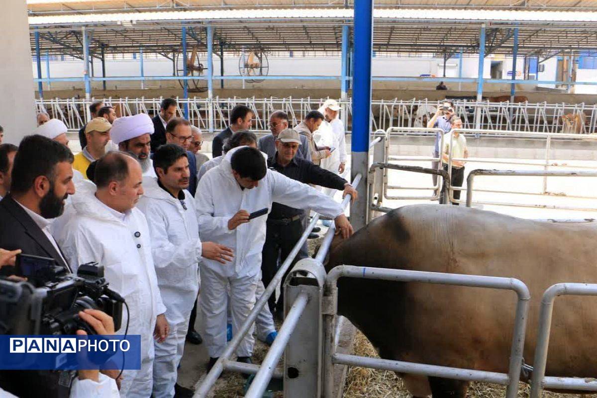 آیین افتتاح شرکت سینا فناوران ماندگار در شهرستان ملارد 