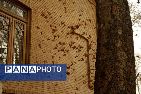 خلوت سرای پاییزی سعدآباد