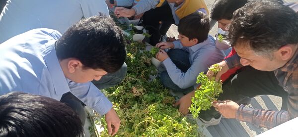برگزاری طرح مدرسه سبز در دبیرستان استعدادهای درخشان شهید بهشتی دوره اول