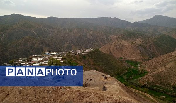 طبیعت سر سبز رفن به هنگام بهار