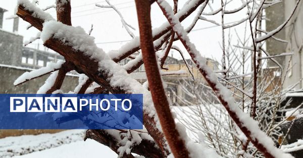 لردگان میزبان اولین برف زمستانی 