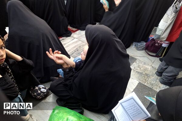 نجوای عاشقانه زائران در روز عرفه؛ مشهد الرضا غرق در زمزمه‌های بندگی