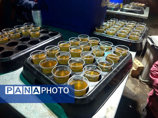 جشن میلاد امام زمان(عج)  در استان قدس امامزاده یحیی