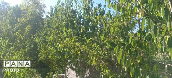 حال و هوای دل‌انگیز روستای مایان در آخرین ماه تابستان