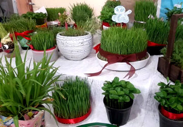 روایت قصه بهار در جشن سبزه‌های دانش‌آموزان شهر صغاد