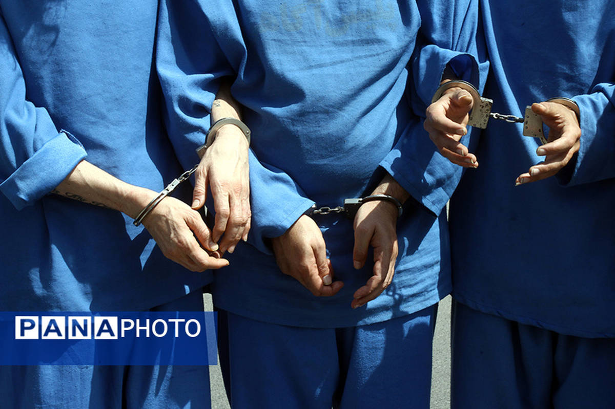 دستگیری ۲۴۷ سارق و مالخر در طرح جدید پلیس