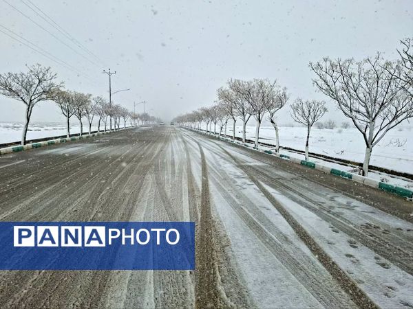 سپیدی رحمت بر جرقویه علیا