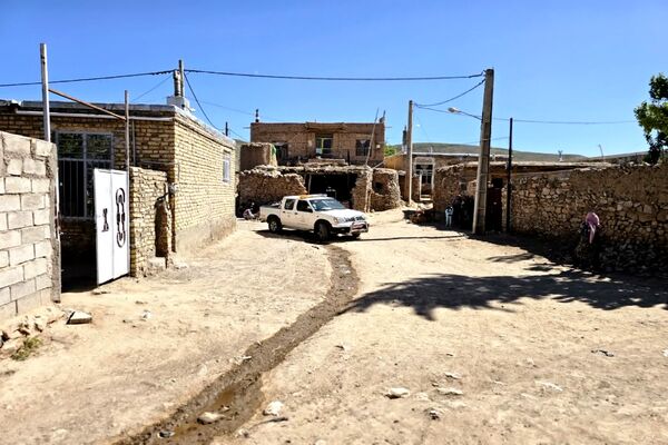 شیوع بیماری زنگ زرد در مزارع گندم و جو در روستاهای دهستان سنگر شهرستان فاروج