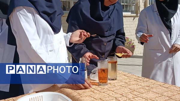 آزمایشگاه قلب تپنده یادگیری علوم