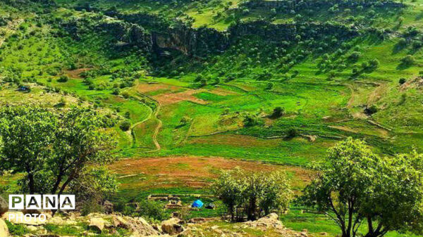 نگین سبز زاگرس 