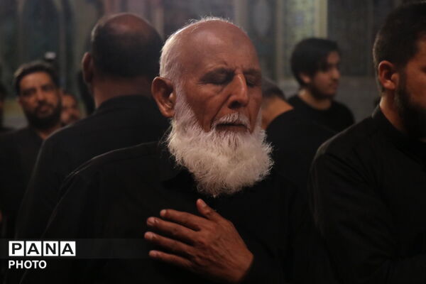 شیعیان هند و پاکستان در جوار حریم ملکوتی امام رضا(ع)