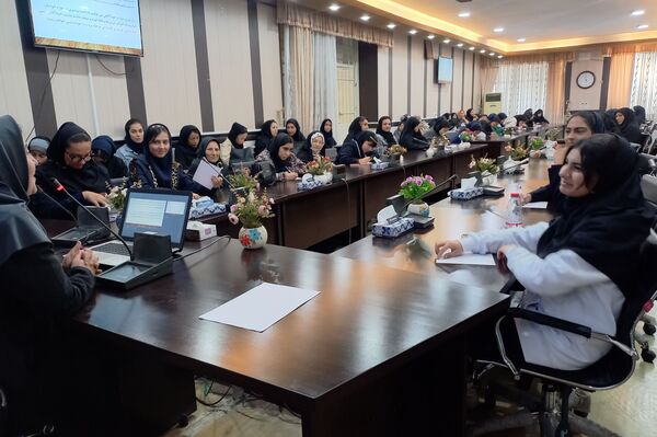 توانمندسازی همیار مشاوران مدارس ناحیه ۳ شیراز