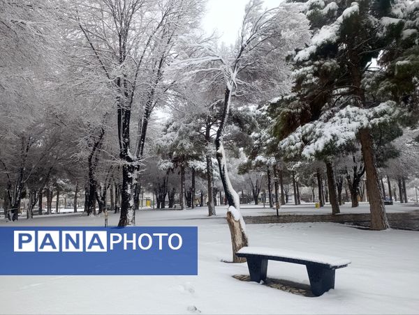 سفید مثل برف