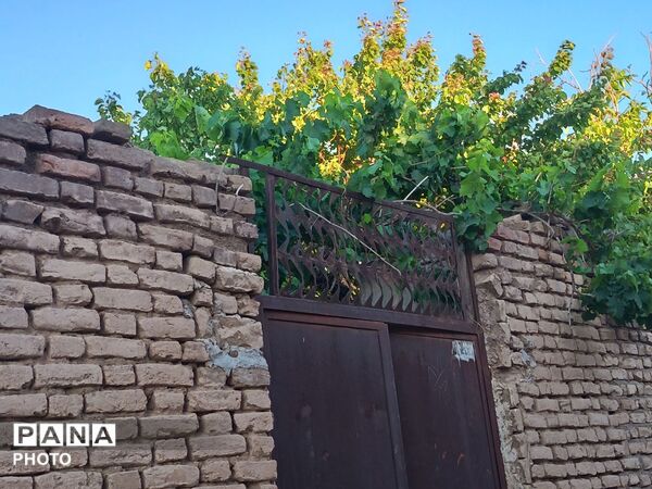 دیار برزنون،کوچه هایی آکنده از عطر بهار