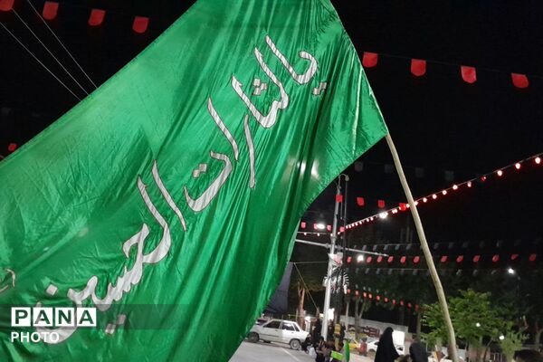 از کربلا تا ایران؛ عزاداران حسینی با پرچم ایران، پیام وحدت و استقامت را فریاد زدند