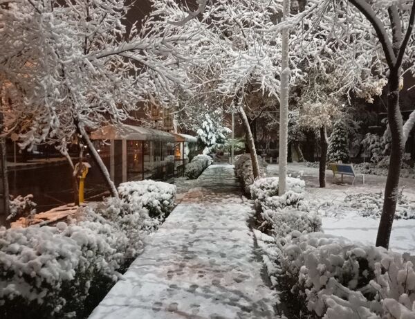 بارش برف در شهر زیبای مشهد 