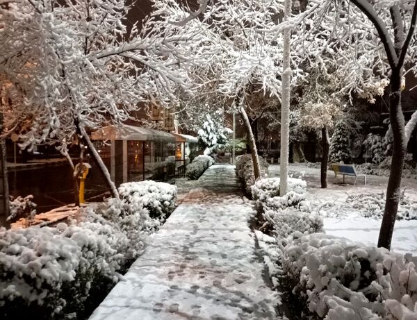بارش برف در شهر زیبای مشهد 