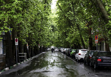 تهران فردا هم بارانی است