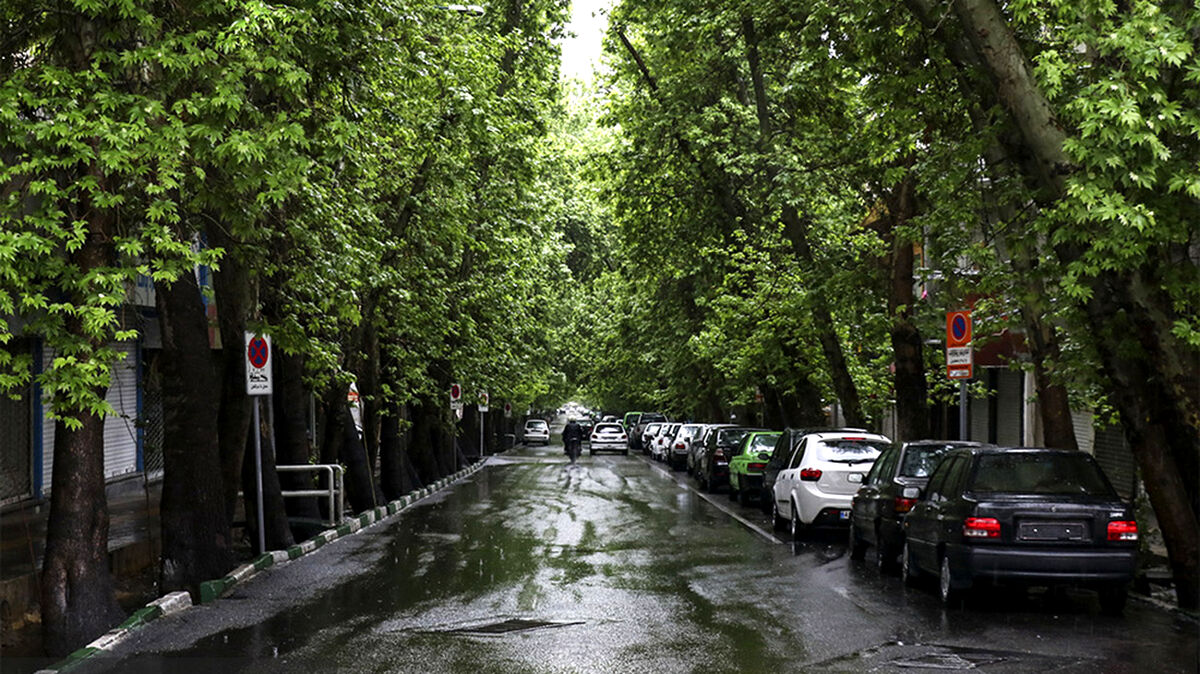 تهران فردا هم بارانی است
