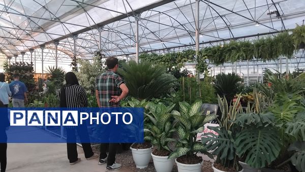 جشنواره گل‌و‌گیاه در محلات