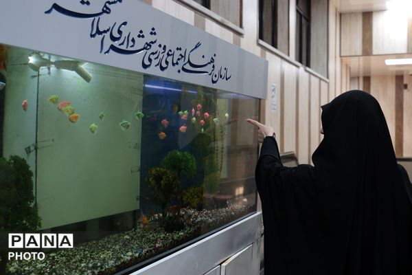 مسابقات قرآن، عترت و نماز دختران در دارالقرآن اسلامشهر