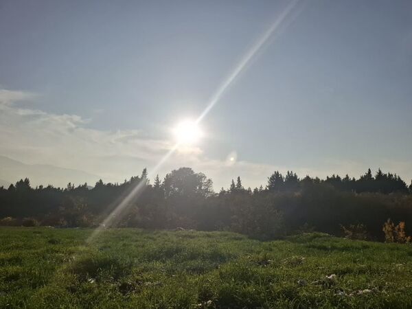 جنگل‌های هیرکانی کردکوی