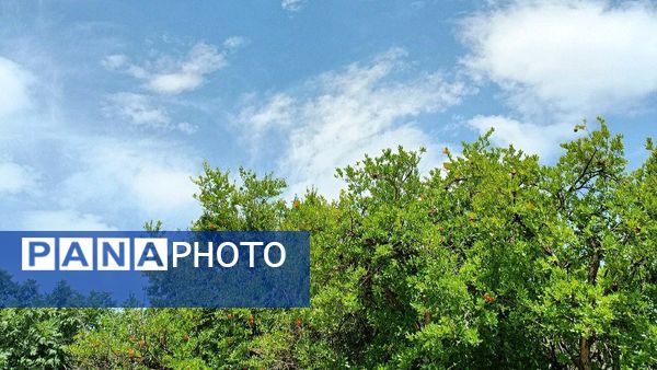 مسن و سرتنگ روستاهایی در دل طبیعت خانمیرزا 