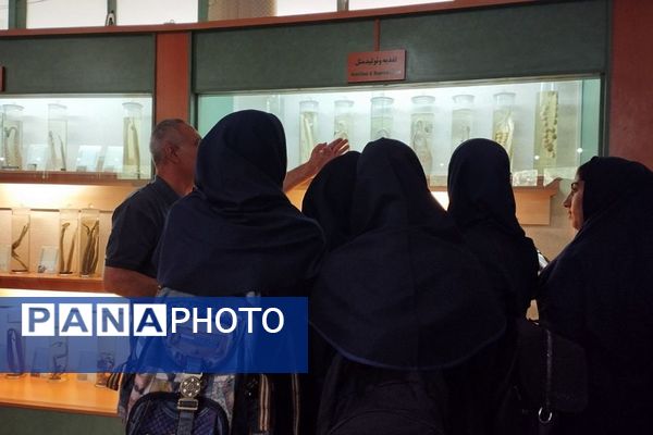 بازدید دانش‌آموزان ناحیه 2 بهارستان از کارخانه سرم‌سازی رازی