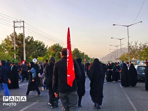 قدم های اربعین، این بار به عشق ایران