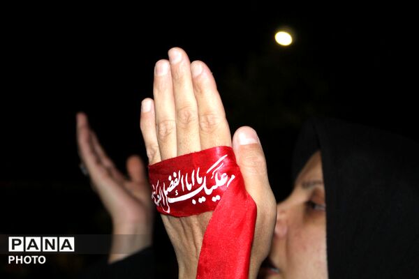 قرار همیشگی مردم اینبار با سالروز ورود امام رضا (ع) به نیشابور