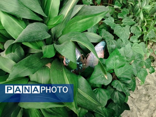 اردوی علمی تفریحی خبرنگاران پانای استان اصفهان