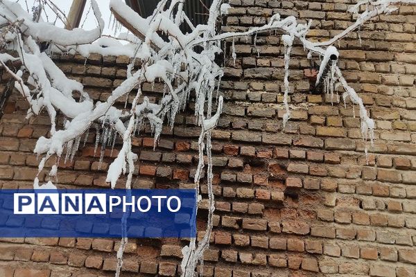 آلبوم تصویری از برف در طبیعت شهر بار 