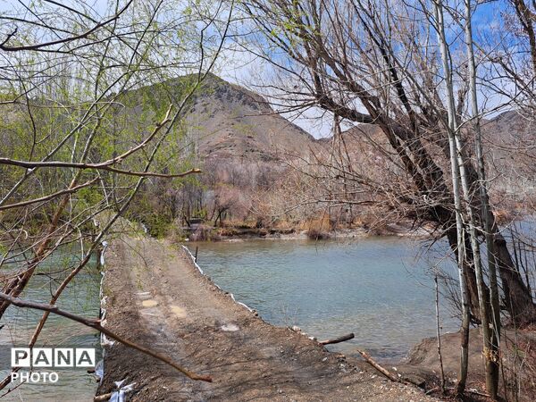 زاینده‌رود نفس سبز بهار