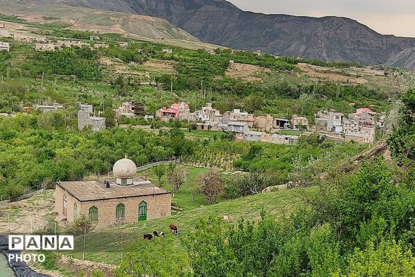 حال و هوای شهر بار نیشابور در فصل زیبای بهار