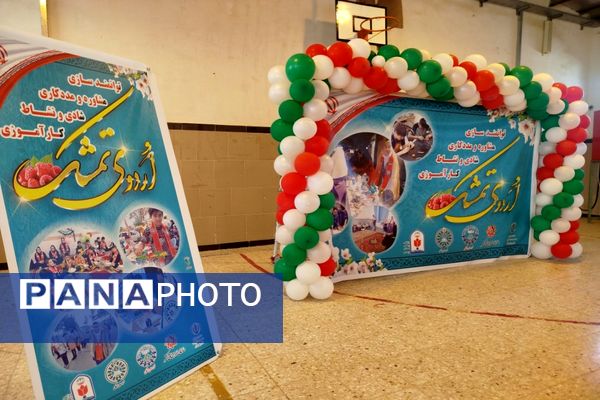 برگزاری اردوی تمشک در شهرستان فاروج 