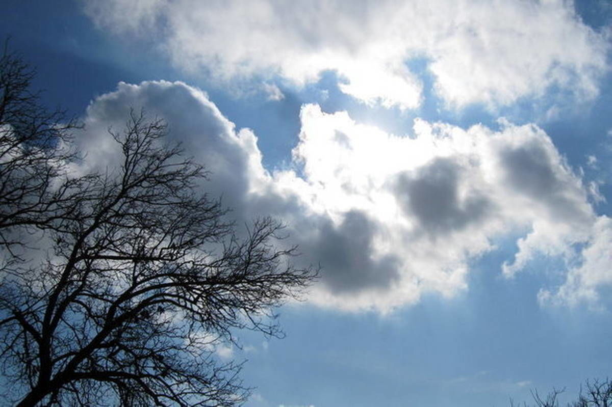 افزایش ابر و رگبار پراکنده در شهرهای شمالی