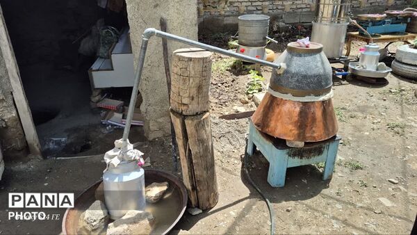  اولین جشنواره محصولات خانگی روستای سپیداران  ساوجبلاغ 