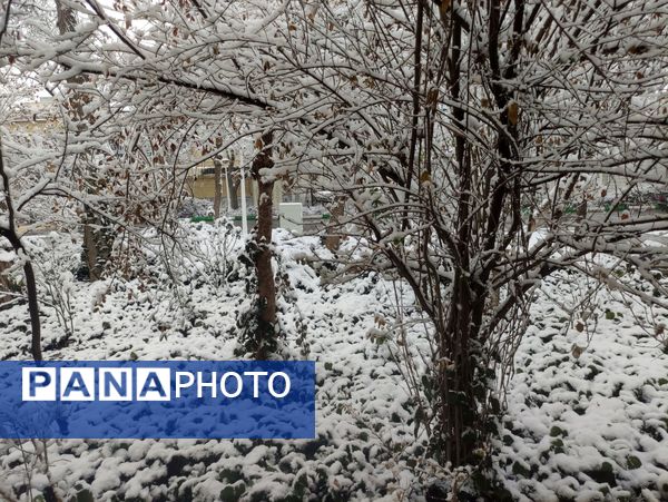 بارش برف و سفید پوش شدن شهر زیبای مشهد