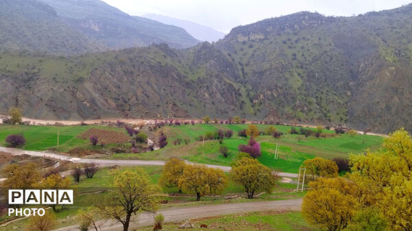 نگین سبز زاگرس 