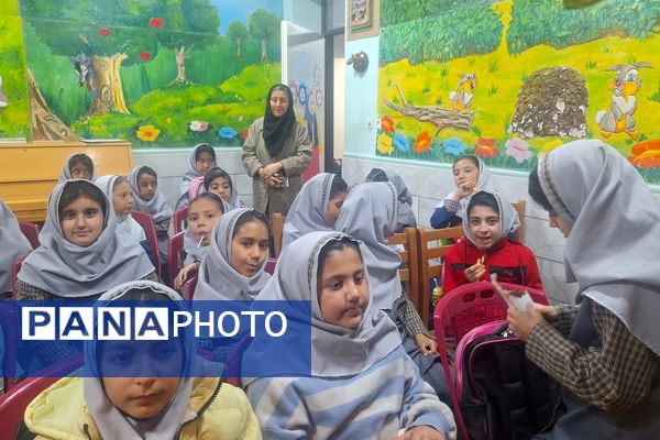 یک روز مفرح و شاد با جنگ جوانه‌ها