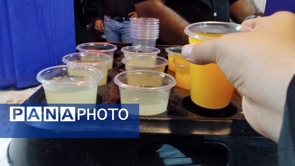 موکب‌های عزاداری‌، پذیرای عزاداران حسینی بودند