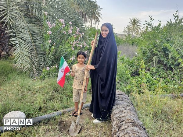 کاشت نهال به یاد دانش‌آموزان شهید مدرسه شجره طیبه میناب در سندرک