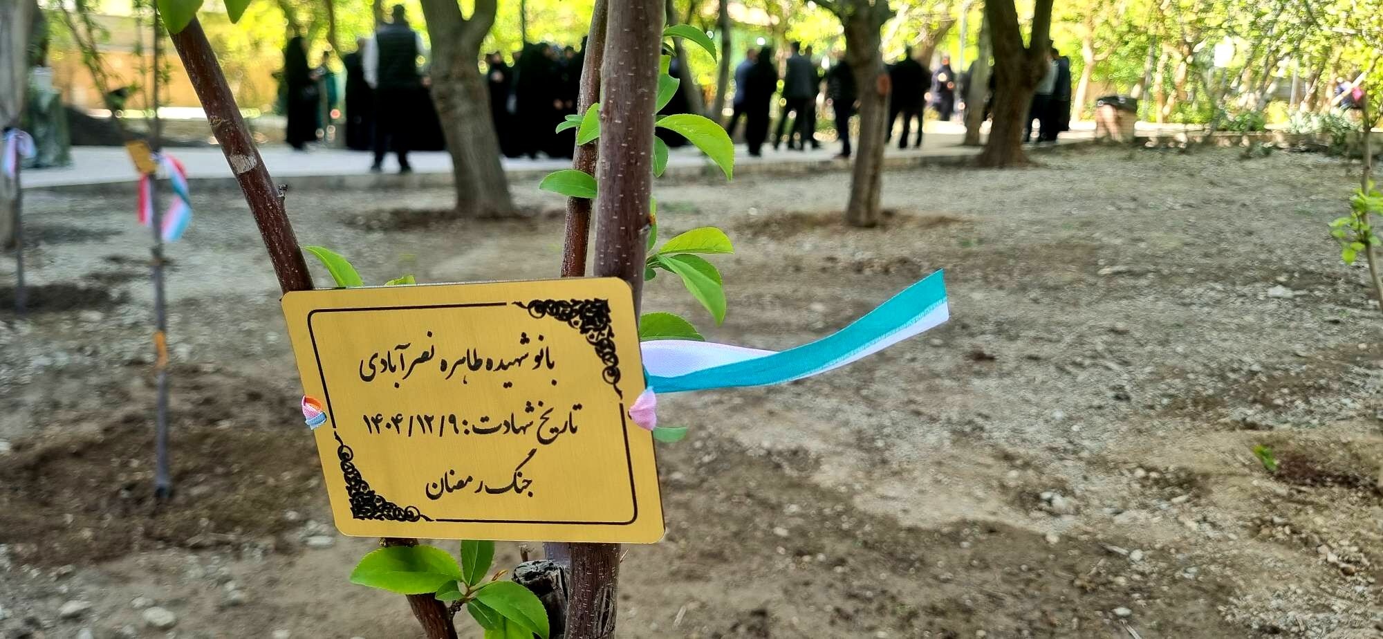 کاشت ۱۷ نهال به یاد بانوان شهیده خدمت در منطقه ۵ پایتخت